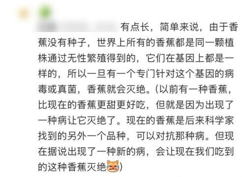  香蕉物种多样性丰富；主流品种遇难题，科研努力守护未来。 健康养生 香蕉物种多样性丰富；主流品种遇难题，科研努力守护未来。 健康养生