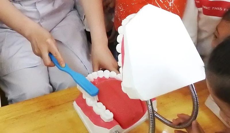 【心理复盘】刷牙焦虑症:为什么我们努力了,牙齿却并不买账? 情感心理 【心理复盘】刷牙焦虑症:为什么我们努力了,牙齿却并不买账? 情感心理