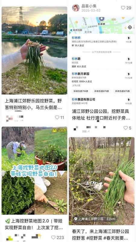 贪恋春日野味却酿苦果?掌握科学饮食避开安全陷阱。 健康养生