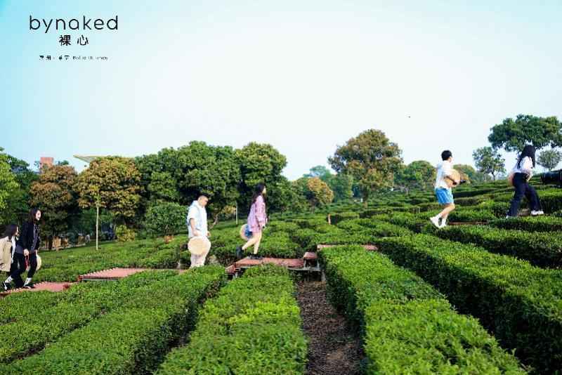 从水泥厂到茶园秘境:裸心集团华南首作的工业遗存改造方法论 文化旅游