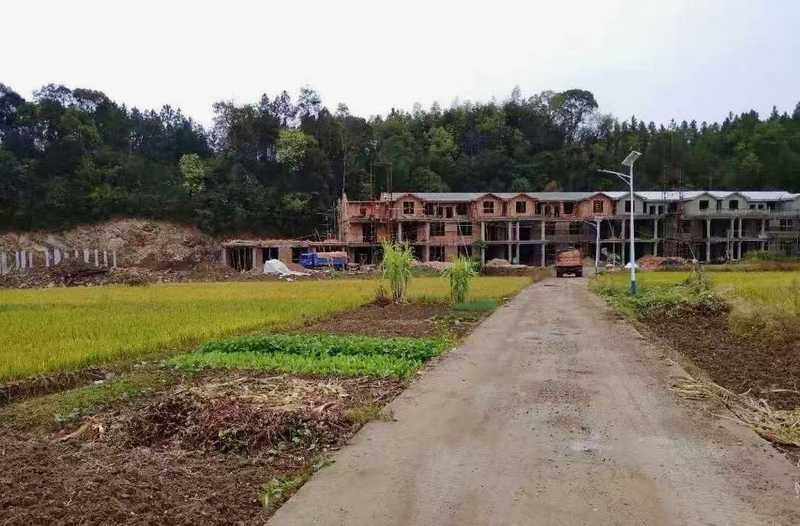  清明山路之殇：农村公路交通安全的技术分析与防御策略 汽车科技