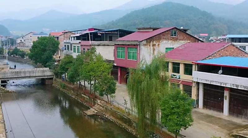  清明山路之殇：农村公路交通安全的技术分析与防御策略 汽车科技