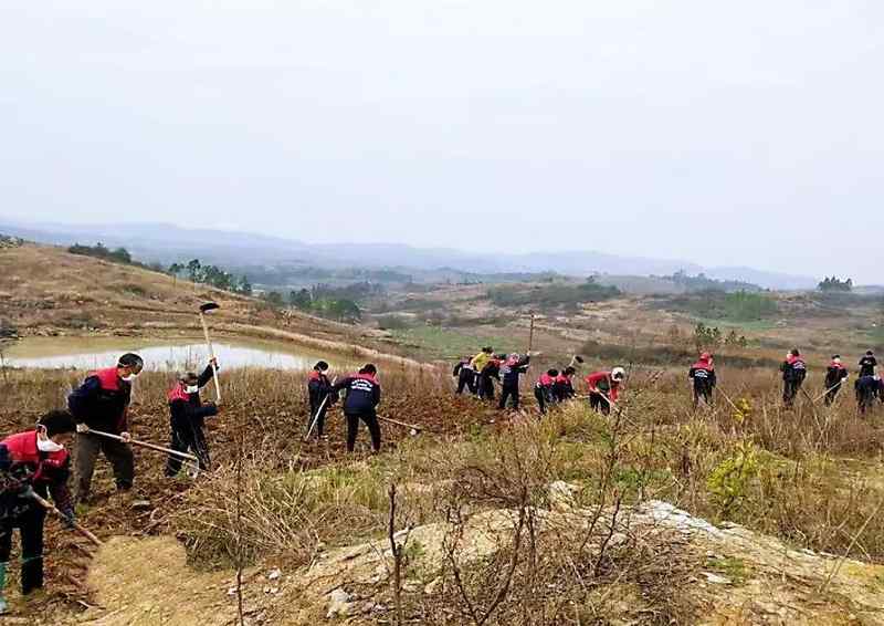  清明山路之殇：农村公路交通安全的技术分析与防御策略 汽车科技