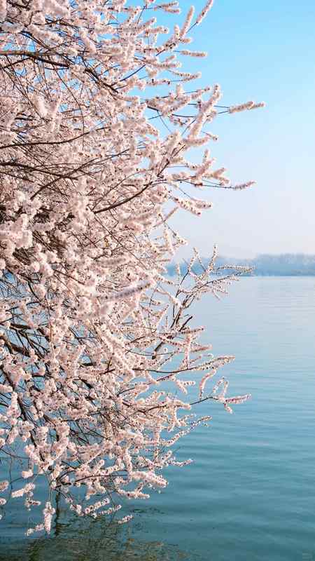  【深度攻略】北京5日精华路线全拆解：从天安门到长城，一份可复用的行程规划方法论 文化旅游