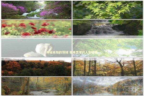 神秘未知的领域 带来显著的人生转变 新闻