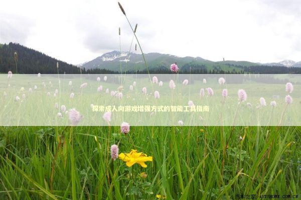 探索成人向游戏增强方式的智能工具指南 探索成人向游戏增强方式的智能工具指南 新闻