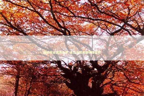 网络安全资源分享 通过正规渠道便捷获取 网络安全资源分享 通过正规渠道便捷获取 新闻