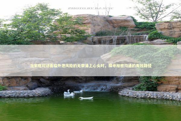 当家庭对话面临外泄风险的无奈涌上心头时，探寻加密沟通的有效路径