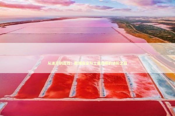 从迷茫到高效：数据安全与工具选择的进阶之路 IT技术